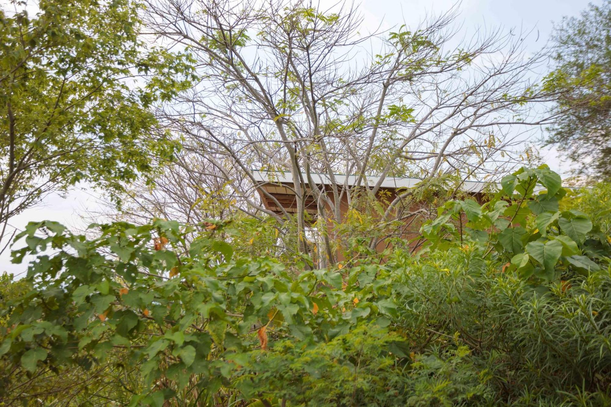 Lake Mwamba Lodge Kasenda エクステリア 写真